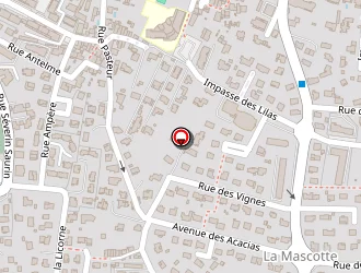 Carte de Bridoux Pascal à Six-fours-les-plages