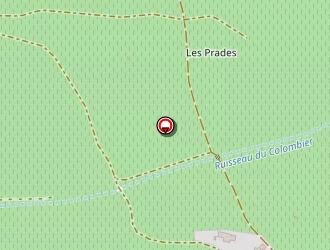 Carte de Florance Bernard à Peyriac-de-mer