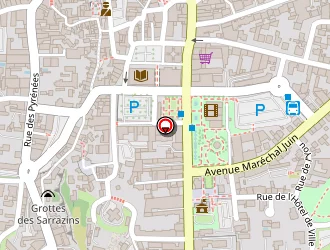 Carte de Roussel Jean à Lourdes