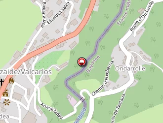 Carte de Respringer Bruno à Arnéguy