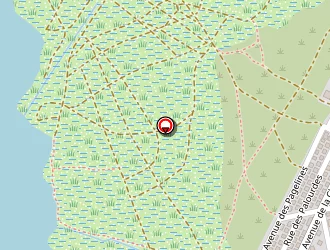 Carte de Levant David à Gruissan