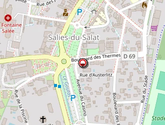 Carte de Martin Bertrand à Salies-du-salat