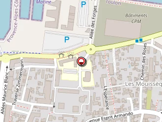 Carte de Mazoyer Mathieu à Seyne-sur-mer (la)