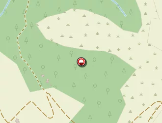 Carte de Conso Intel à Vals