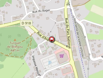 Carte de Sallanabe Maïté à Arudy