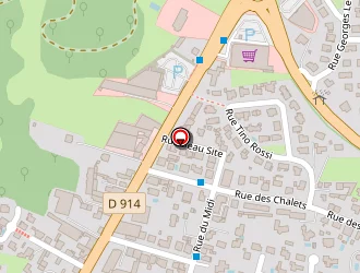 Carte de Dupire à Lourdes