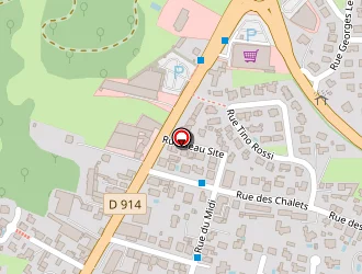 Carte de T.d.a à Lourdes