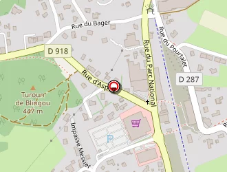 Carte de Minazzoli Nicolas-pierre à Arudy