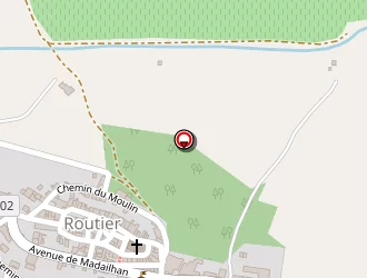 Carte de Saviana Tp à Routier