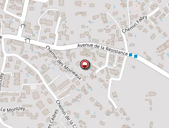 Carte de Factotum à Toulon