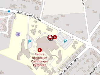 Carte de Darocha Custodio à Saint-gaudens