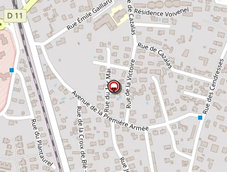 Carte de Chevaline Ariegeoise à Pamiers