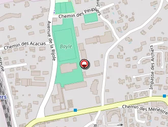 Carte de Lasnel Stéphane à Pamiers