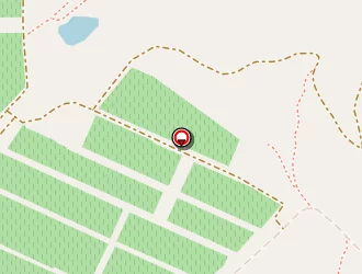 Carte de La Provencale à Bormes-les-mimosas