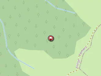 Carte de Babau Benjamin à Mirepoix