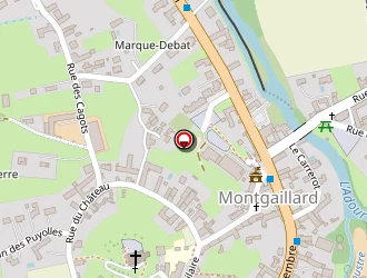 Carte de Gouedard Patrick à Montgaillard