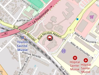 Carte de Fleur De Lys à Toulon