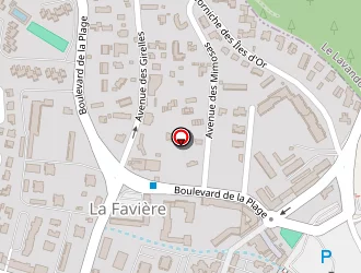 Carte de Route 83 à Bormes-les-mimosas