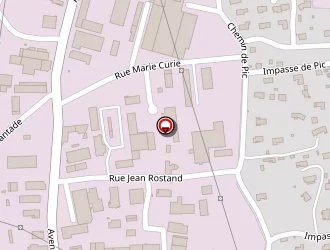 Carte de Société Electro Service Mazout à Pamiers