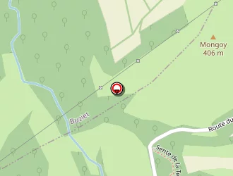 Carte de Rigaux Philippe à Buzy