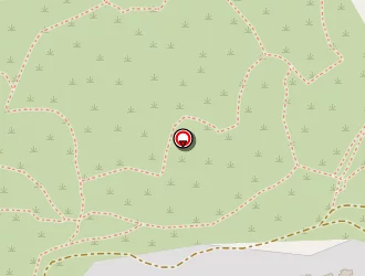 Carte de Loux Richard à Hyères