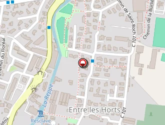 Carte de Taramasco à Ollioules