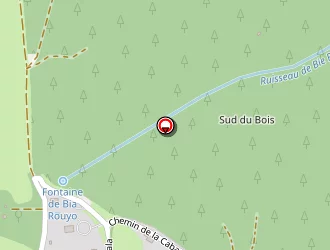 Carte de Saint-joanis Pierre à Bartrès