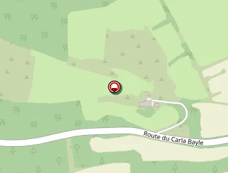 Carte de Fournial Thomas à Artigat