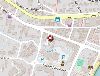 Carte de Cheneau Joël à Lavandou (le)