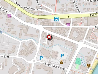 Carte de Vue Mer Immobilier 83 à Lavandou (le)