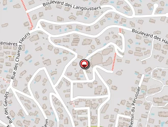 Carte de Optique Pestre à Lavandou (le)