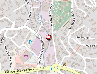 Carte de Auto Elec 3000 à Lavandou (le)