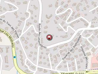 Carte de Dragon David à Bormes-les-mimosas