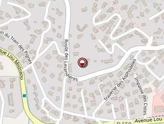 Carte de Oliviéri Pierre à Bormes-les-mimosas