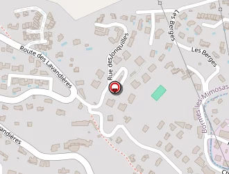 Carte de Intermarché Super à Bormes-les-mimosas