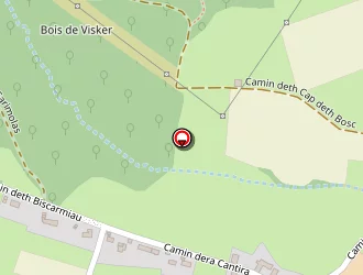 Carte de Argentin Cécile à Visker