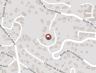 Carte de Vip Manucure à Bormes-les-mimosas