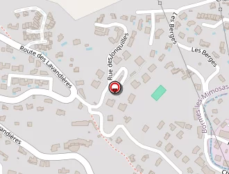 Carte de Intermarché à Bormes-les-mimosas