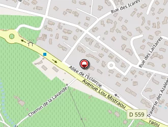 Carte de Dhasso à Bormes-les-mimosas