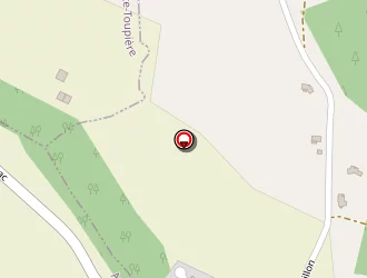 Carte de Caldeira Jean-philippe à Saint-martory