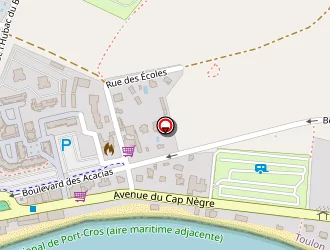 Carte de Peirone Jean à Lavandou (le)