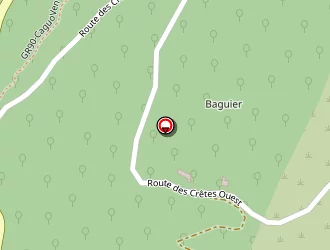 Carte de Olivier Didier à Bormes-les-mimosas