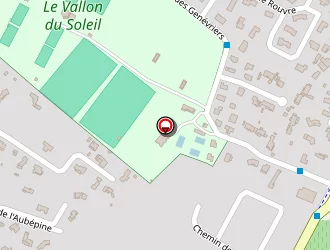 Carte de Lolie Pizza à Crau (la)