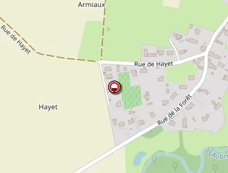 Carte de Izans Serge à Lanne