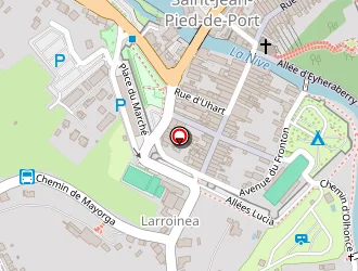 Carte de Donibaneko-loreak à Saint-jean-pied-de-port