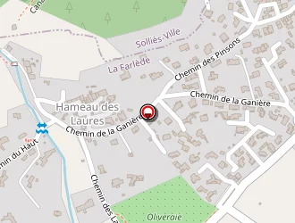 Carte de Junino Raymond à Farlède (la)