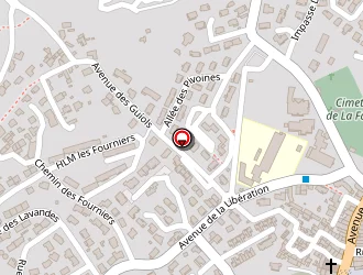 Carte de Labruyère Serge à Farlède (la)