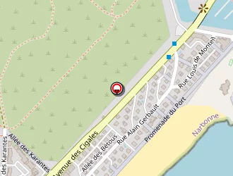 Carte de Dumeil Philippe à Narbonne plage