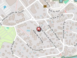 Carte de Berkani Hamid à Cavalaire-sur-mer