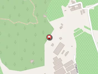 Carte de Fleursenligne à Crau (la)